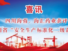 海蓉、海匯藥業(yè)獲評“安全生產(chǎn)標(biāo)準(zhǔn)化二級企業(yè)”